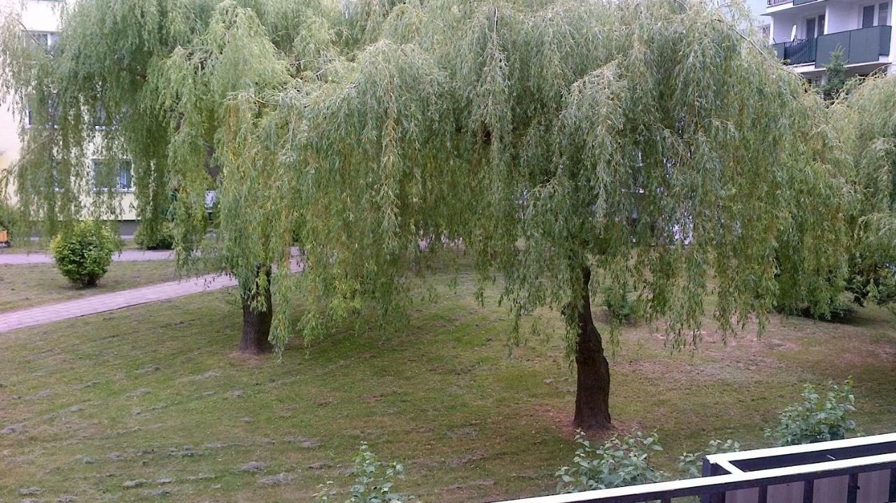 Zielona Herbowa Lublin Exteriér fotografie